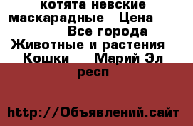 котята невские маскарадные › Цена ­ 18 000 - Все города Животные и растения » Кошки   . Марий Эл респ.